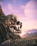 Skull Island